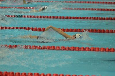 Xmas-Cup-2024-030 Xmas-Cup-2024-030